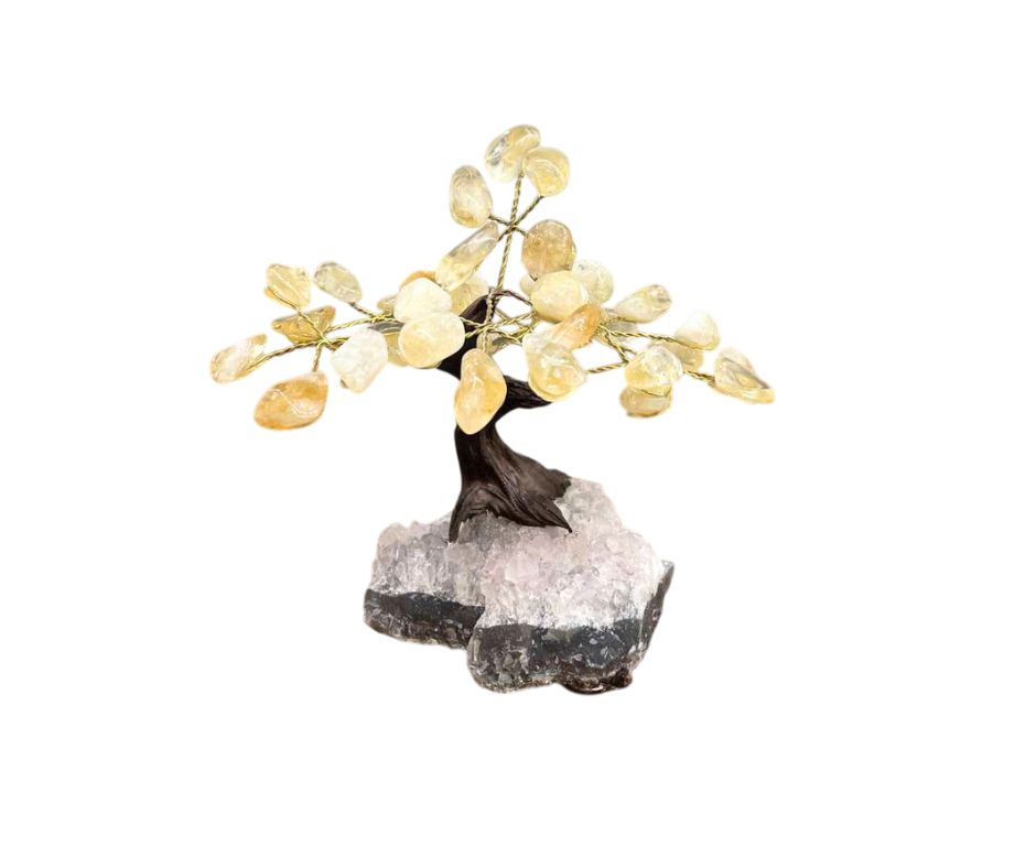 bonsai citrine occizen boutique bonsai citrine occizen boutique