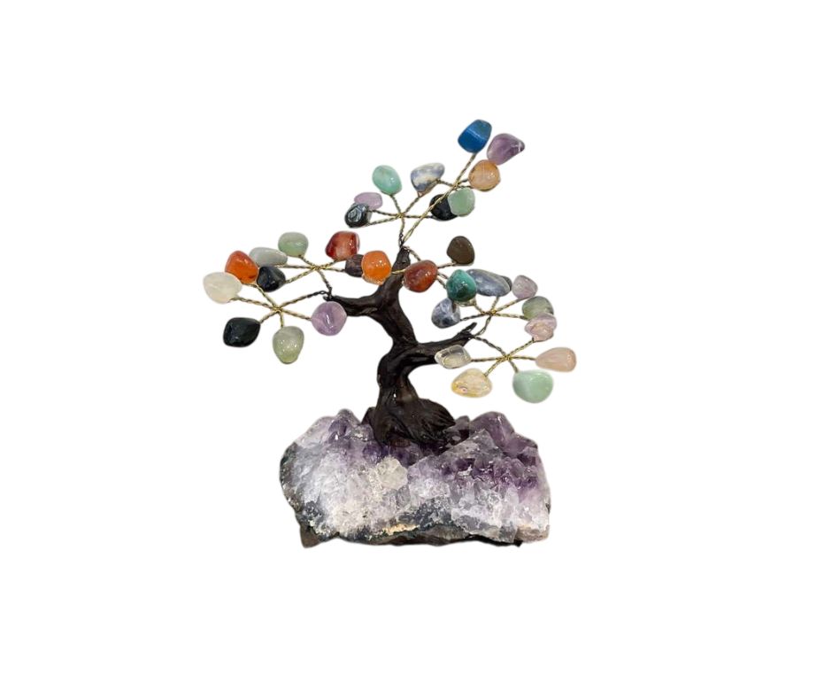 bonsai pierres multicolores occizen boutique bonsai pierres multicolores occizen boutique