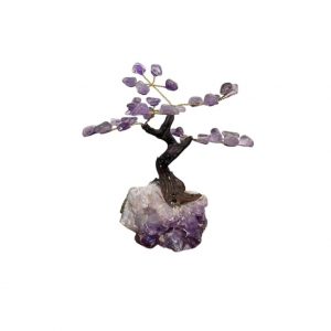 bonsai amethyste occizen boutique