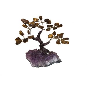 bonsai oeil de tigre occizen boutique