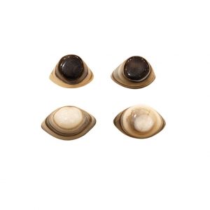 oeil de shiva occizen